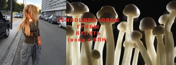 гидропоника Россошь