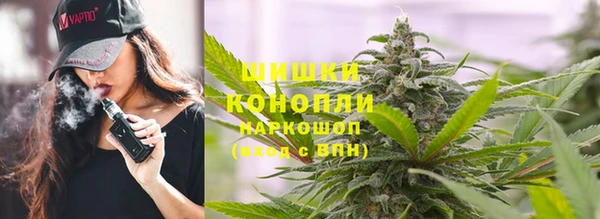 ALPHA PVP Рославль