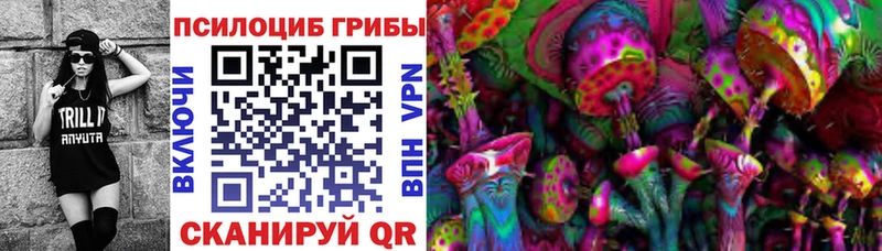 наркота  мега как зайти  Псилоцибиновые грибы мицелий  Вичуга 